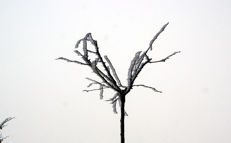 2013 04 07 C